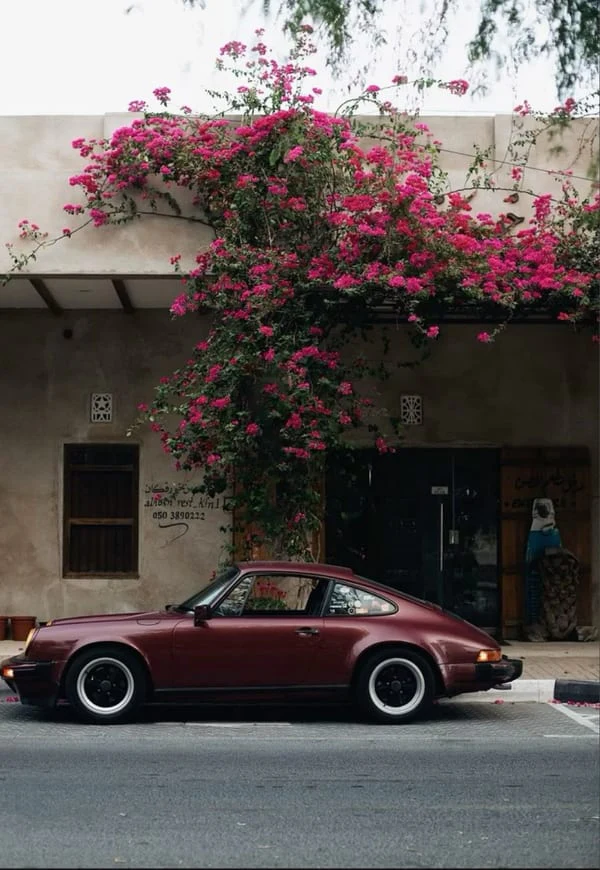 A burgundy vintage sports car under bougainvillea